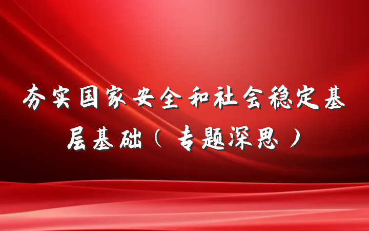 夯实国家安全和社会稳定基层基础（专题深思）