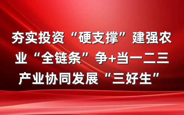 夯实投资“硬支撑”建强农业“全链条”争 当一二三产业协同发展“三好生”