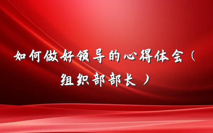 如何做好领导的心得体会（组织部部长）