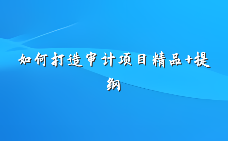 如何打造审计项目精品 提纲