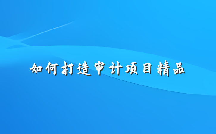 如何打造审计项目精品