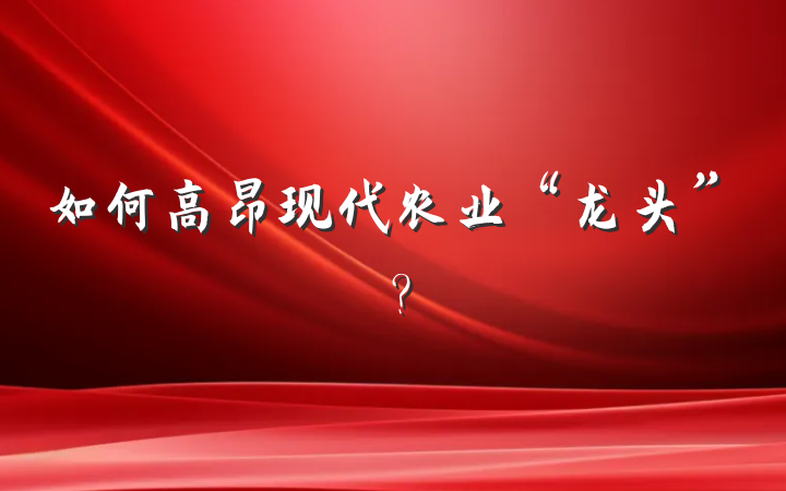 如何高昂现代农业“龙头”？