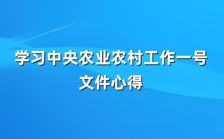 学习中央农业农村工作一号文件心得