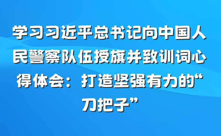 学习习近平总书记向中国人民警察队伍授旗并致训词心得体会：打造坚强有力的“刀把子”