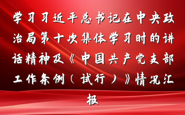 学习习近平总书记在中央政治局第十次集体学习时的讲话精神及《中国共产党支部工作条例（试行）》情况汇报
