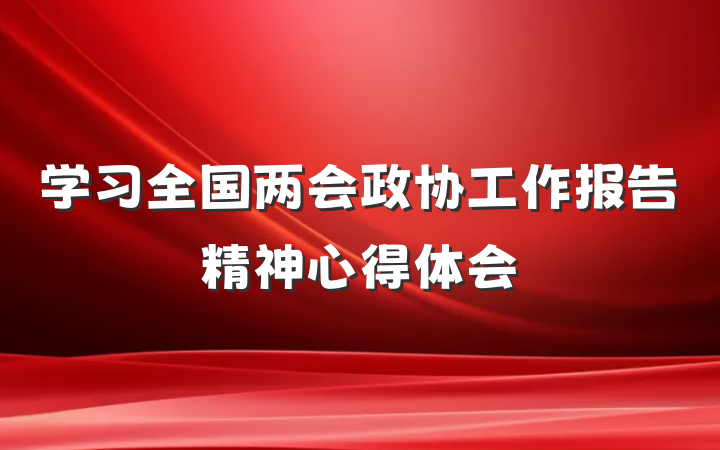 学习全国两会政协工作报告精神心得体会
