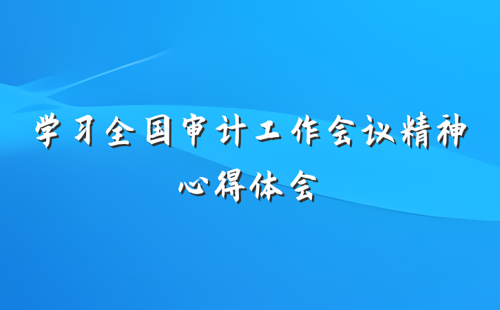 学习全国审计工作会议精神心得体会