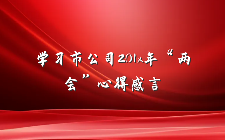 学习市公司201x年“两会”心得感言