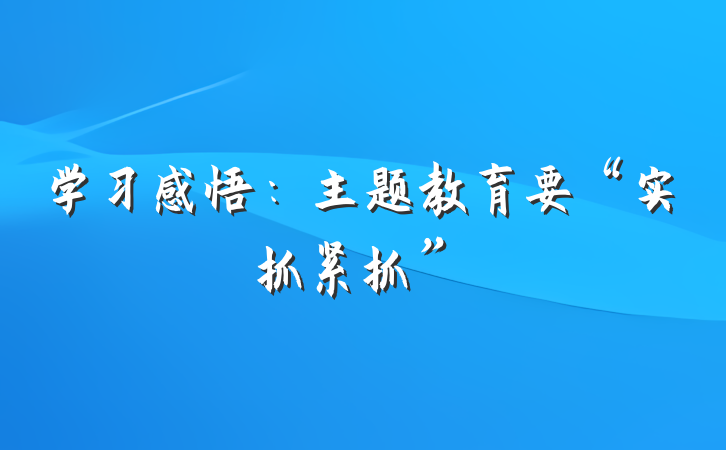 学习感悟：主题教育要“实抓紧抓”