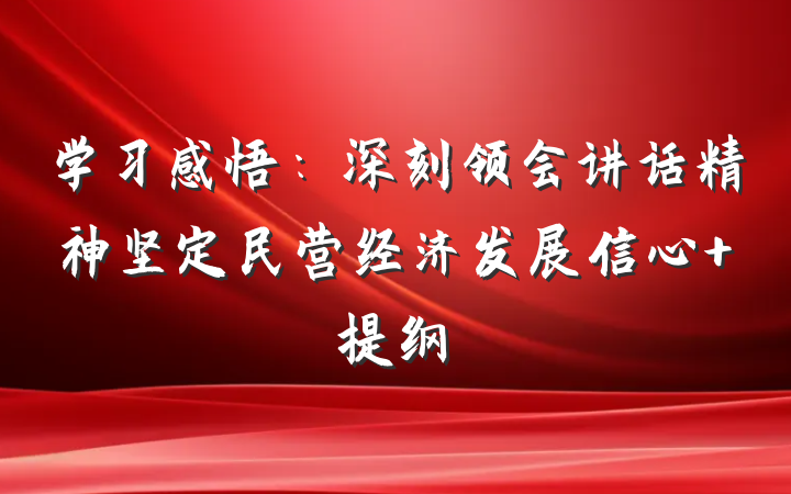 学习感悟：深刻领会讲话精神坚定民营经济发展信心 提纲