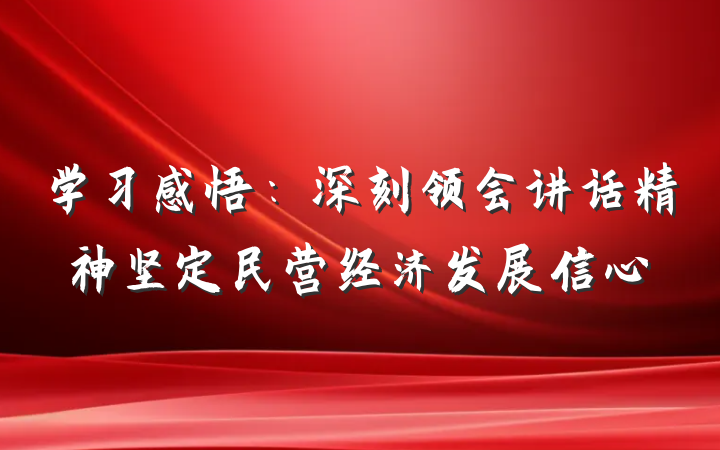 学习感悟：深刻领会讲话精神坚定民营经济发展信心