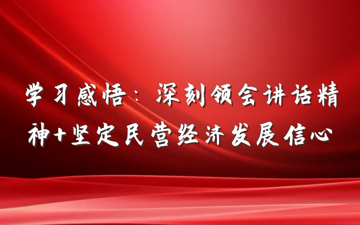 学习感悟:深刻领会讲话精神 坚定民营经济发展信心