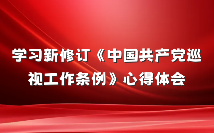 学习新修订《中国共产党巡视工作条例》心得体会