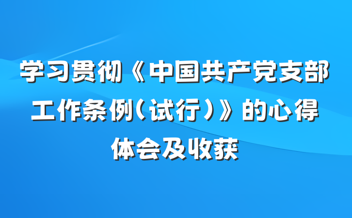 学习贯彻《中国共产党支部工作条例（试行）》的心得体会及收获