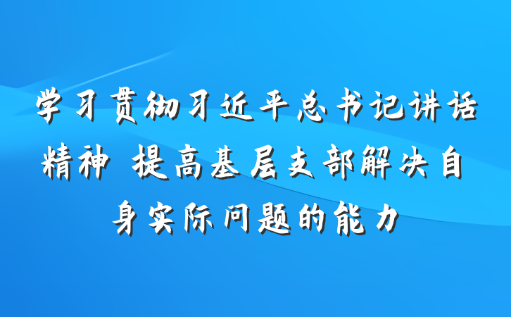 学习贯彻习近平总书记讲话精神　提高基层支部解决自身实际问题的能力