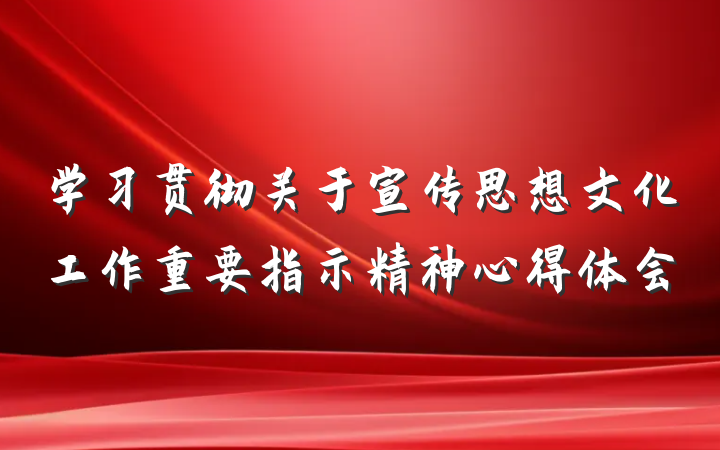 学习贯彻关于宣传思想文化工作重要指示精神心得体会