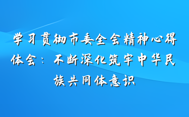 学习贯彻市委全会精神心得体会：不断深化筑牢中华民族共同体意识