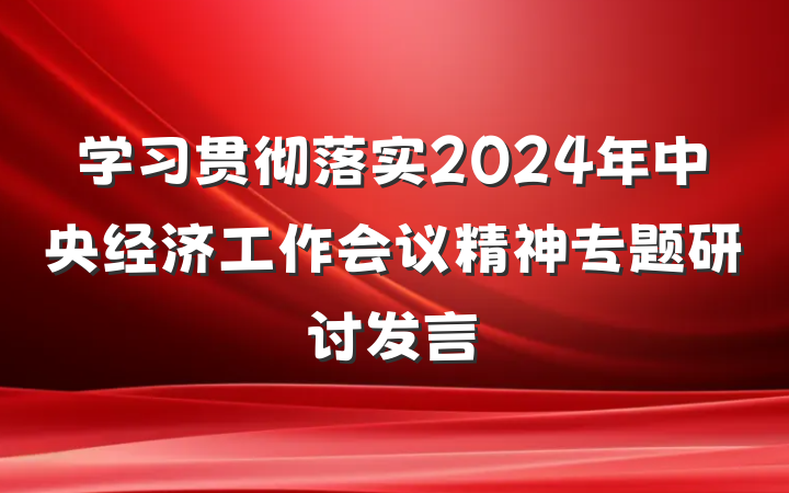 学习贯彻落实2024年中央经济工作会议精神专题研讨发言