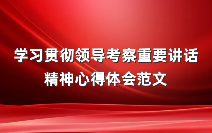 学习贯彻领导考察重要讲话精神心得体会范文