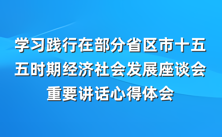 学习践行在部分省区市十五五时期经济社会发展座谈会重要讲话心得体会