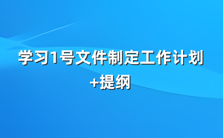 学习1号文件制定工作计划 提纲