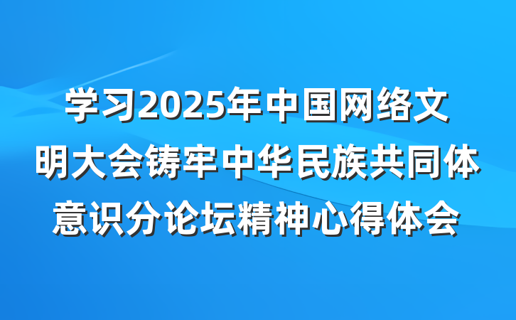 学习2025年中国网络文明大会铸牢中华民族共同体意识分论坛精神心得体会