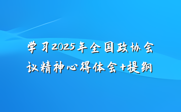学习2025年全国政协会议精神心得体会 提纲