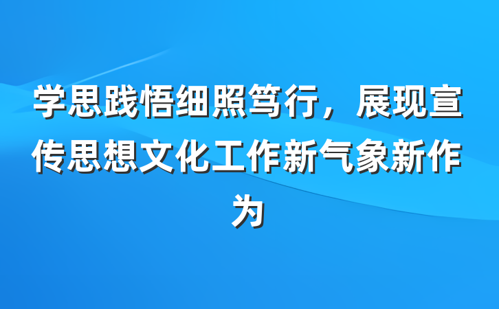 学思践悟细照笃行，展现宣传思想文化工作新气象新作为