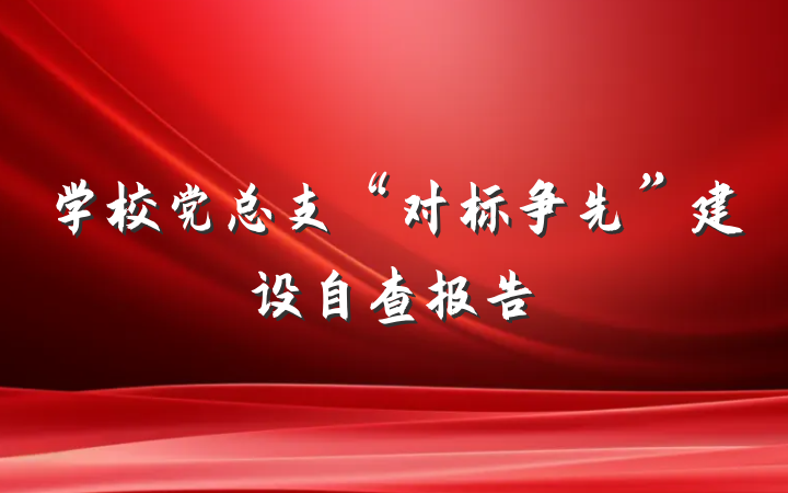学校党总支“对标争先”建设自查报告
