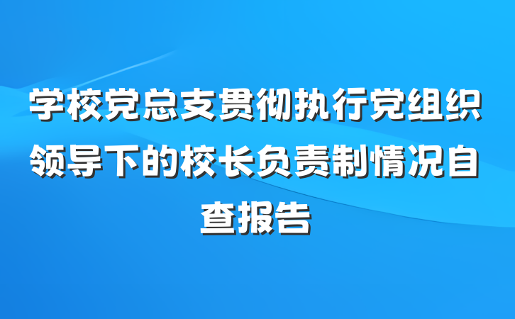 学校党总支贯彻执行党组织领导下的校长负责制情况自查报告