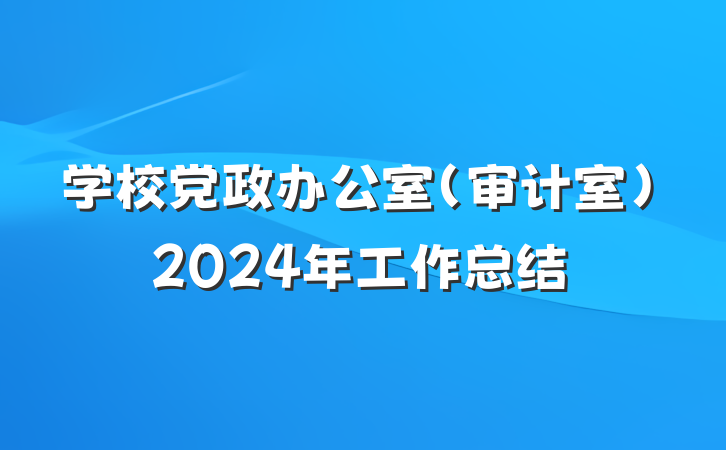 学校党政办公室（审计室）2024年工作总结