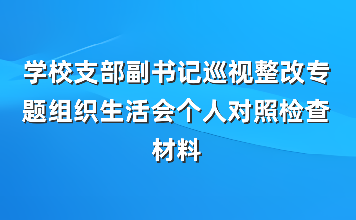 学校支部副书记巡视整改专题组织生活会个人对照检查材料