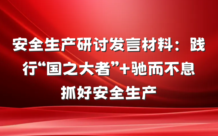 安全生产研讨发言材料：践行“国之大者” 驰而不息抓好安全生产