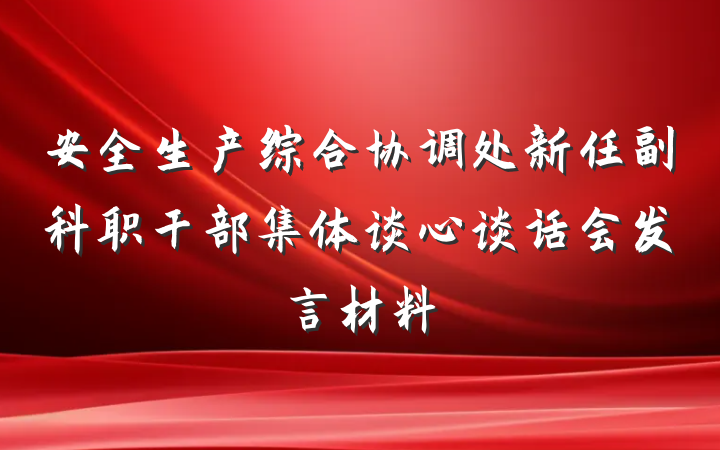 安全生产综合协调处新任副科职干部集体谈心谈话会发言材料