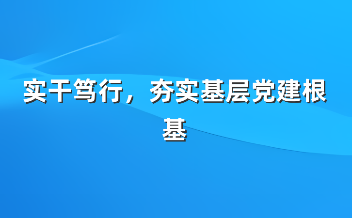 实干笃行，夯实基层党建根基