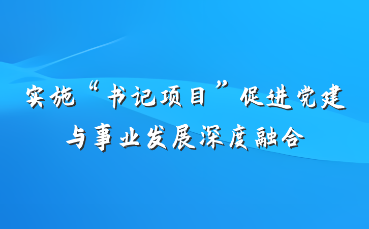 实施“书记项目”促进党建与事业发展深度融合