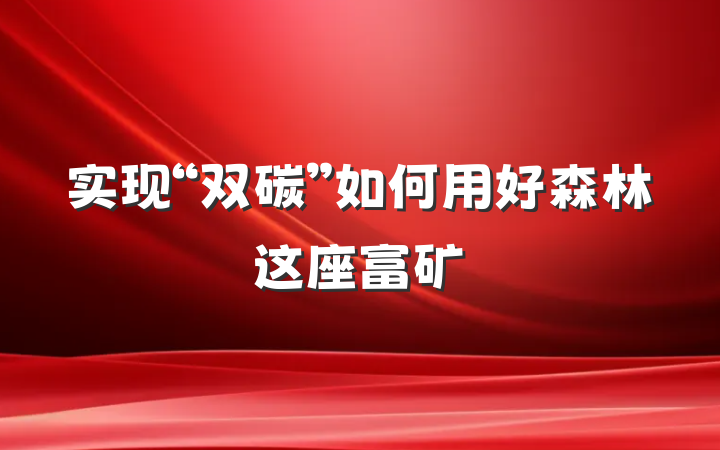 实现“双碳”如何用好森林这座富矿