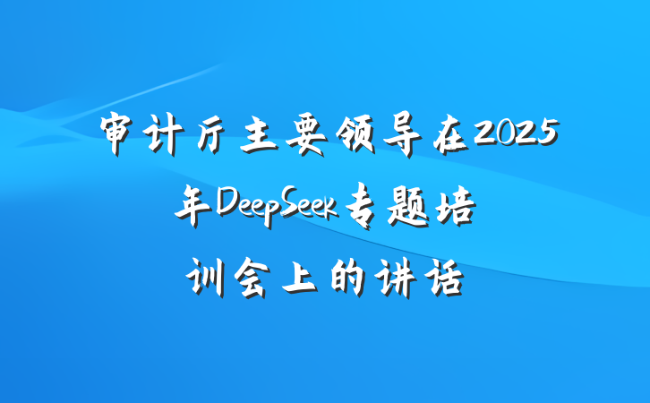 审计厅主要领导在2025年DeepSeek专题培训会上的讲话