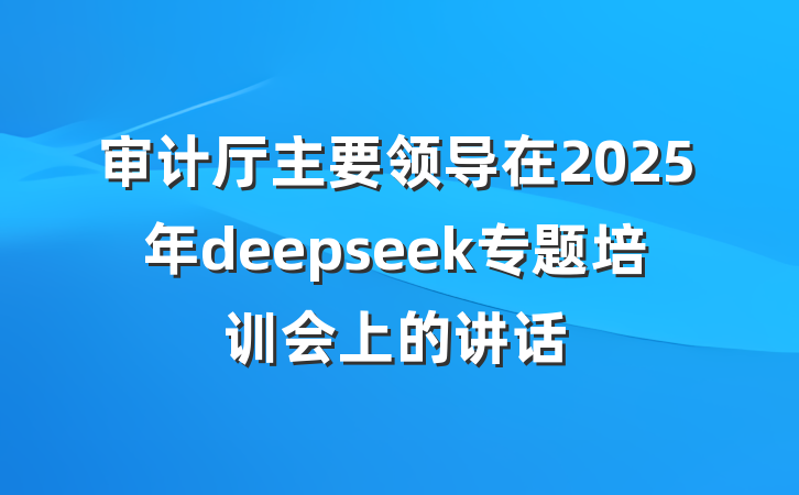审计厅主要领导在2025年deepseek专题培训会上的讲话