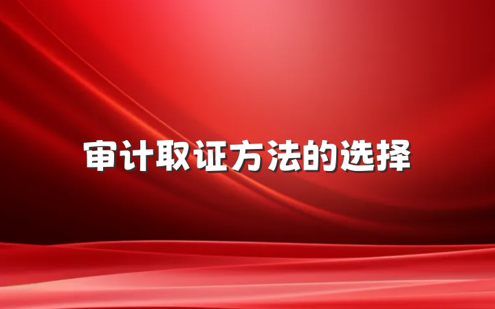 审计取证方法的选择