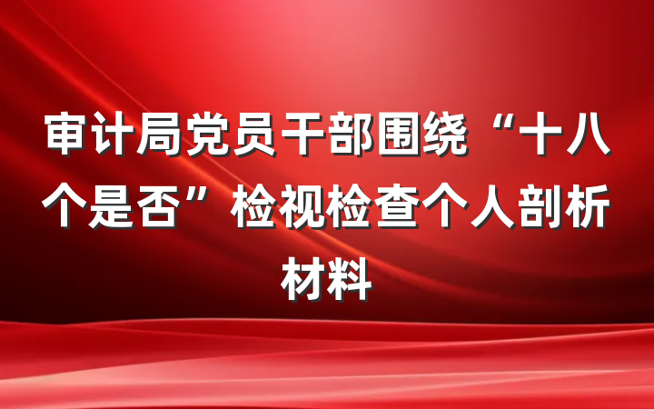 审计局党员干部围绕“十八个是否”检视检查个人剖析材料