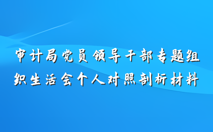 审计局党员领导干部专题组织生活会个人对照剖析材料