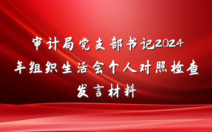 审计局党支部书记2024年组织生活会个人对照检查发言材料