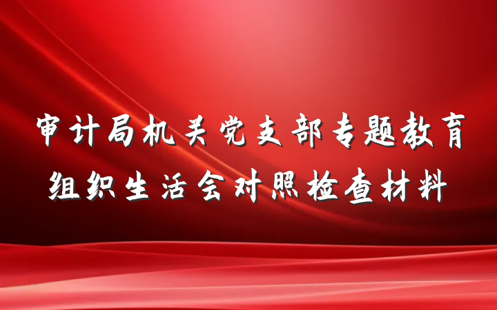 审计局机关党支部专题教育组织生活会对照检查材料
