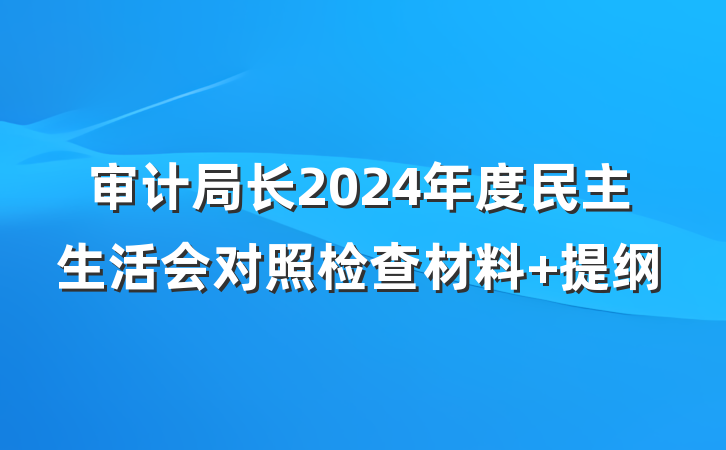 审计局长2024年度民主生活会对照检查材料 提纲