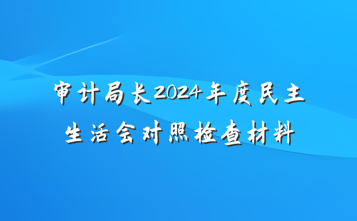 审计局长2024年度民主生活会对照检查材料