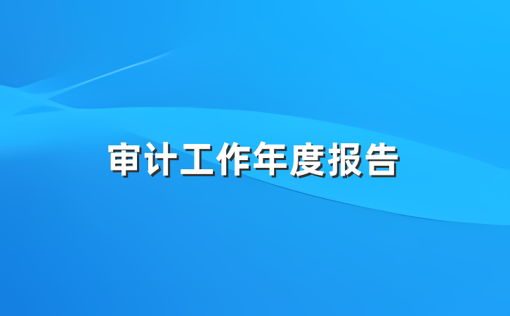 审计工作年度报告