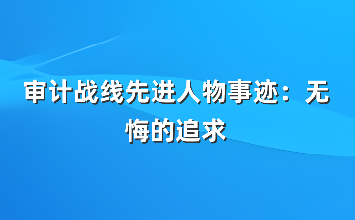 审计战线先进人物事迹：无悔的追求