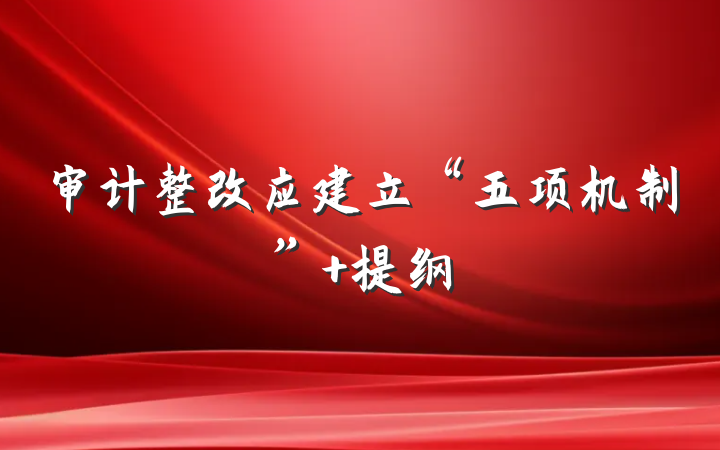 审计整改应建立“五项机制” 提纲