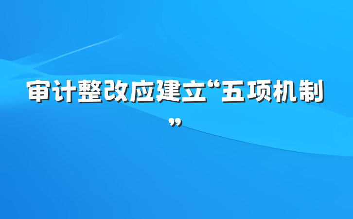 审计整改应建立“五项机制”